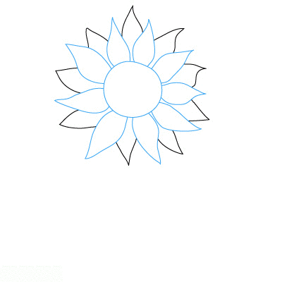 Detail Sonnenblume Zeichnen Bleistift Nomer 6