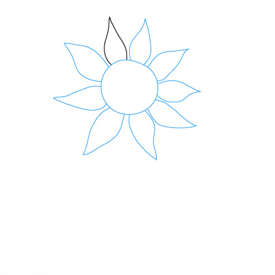 Detail Sonnenblume Zeichnen Bleistift Nomer 7