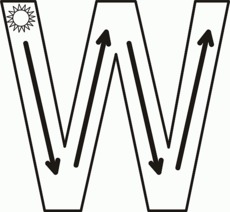 Detail W In Schreibschrift Nomer 7