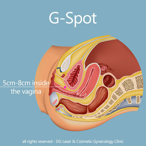 Detail Gambar G Spot Nomer 27