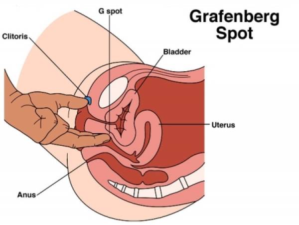 Detail Gambar G Spot Nomer 6