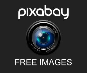 Detail Gambar Gratis Pixabay Nomer 50