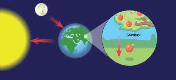Detail Gambar Gravitasi Bumi Nomer 22