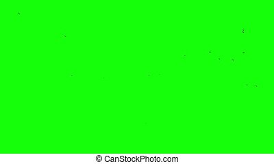 Detail Gambar Green Screen Nomer 45