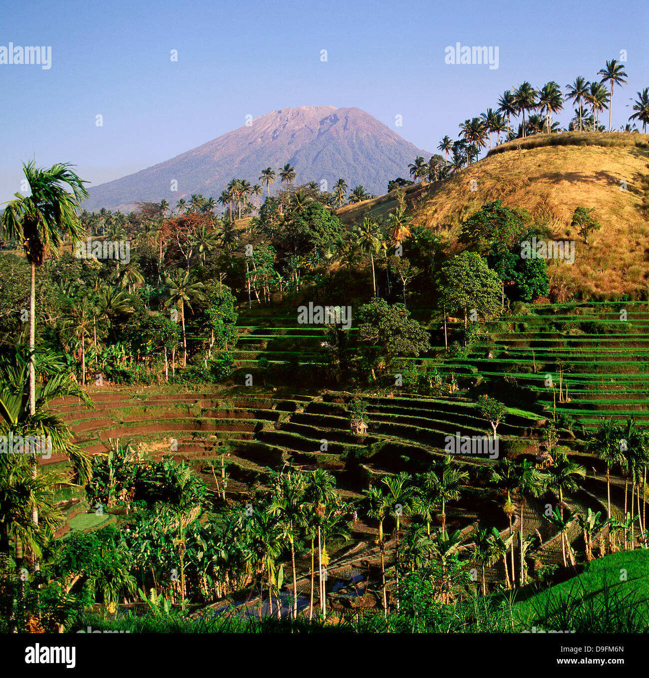 Detail Gambar Gunung Agung Di Bali Nomer 32