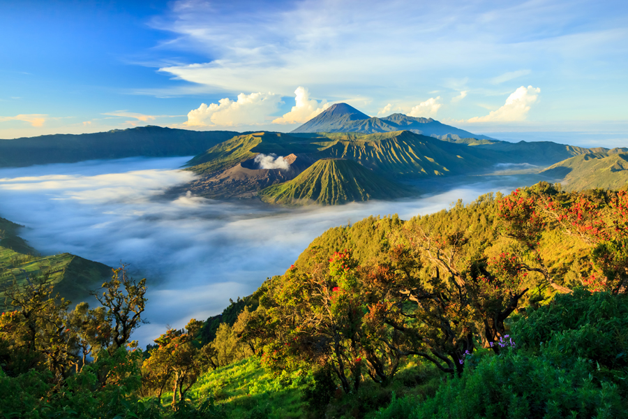 Detail Gambar Gunung Bromo Nomer 20