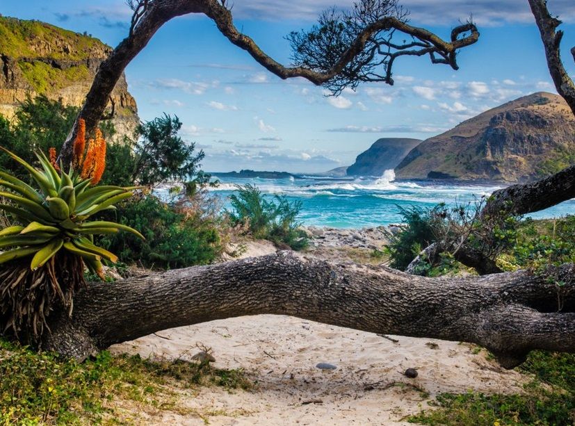 Detail Gambar Gunung Dan Pantai Nomer 24