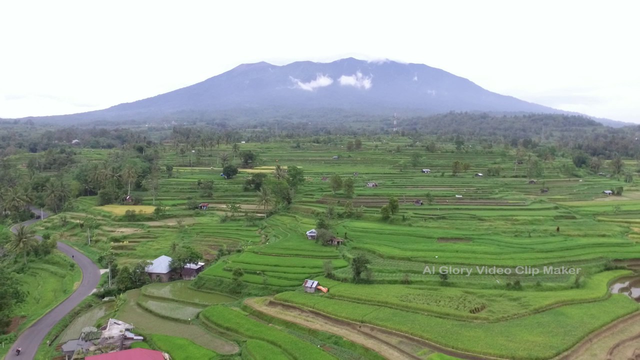 Detail Gambar Gunung Dan Sawah Nomer 47