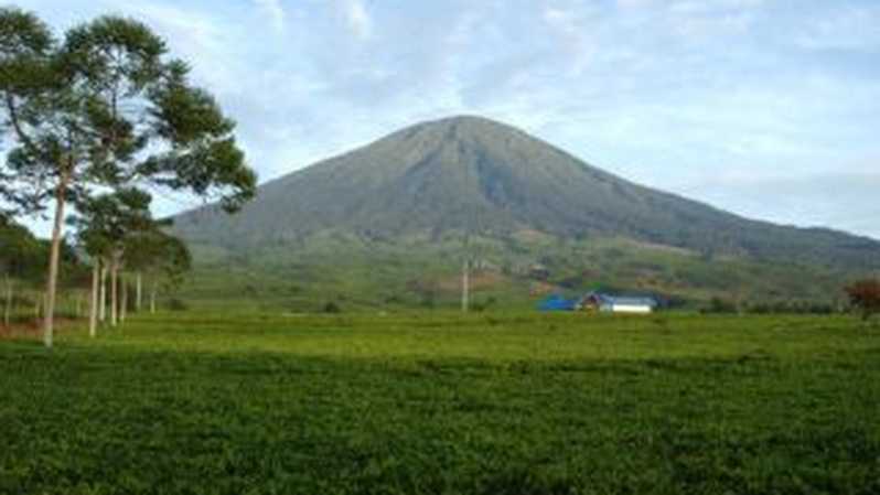 Detail Gambar Gunung Dempo Nomer 18