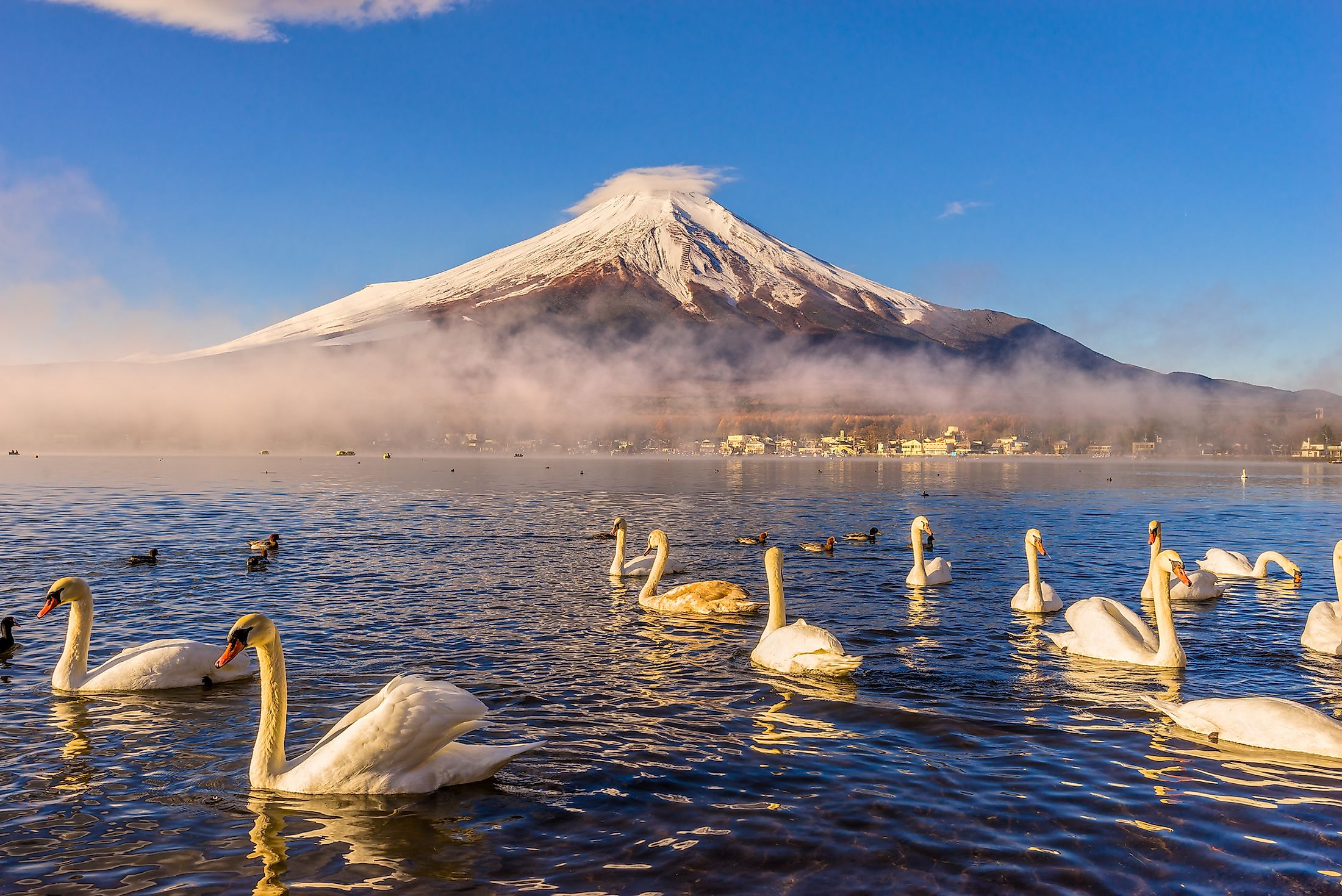 Download Gambar Gunung Fuji Nomer 26