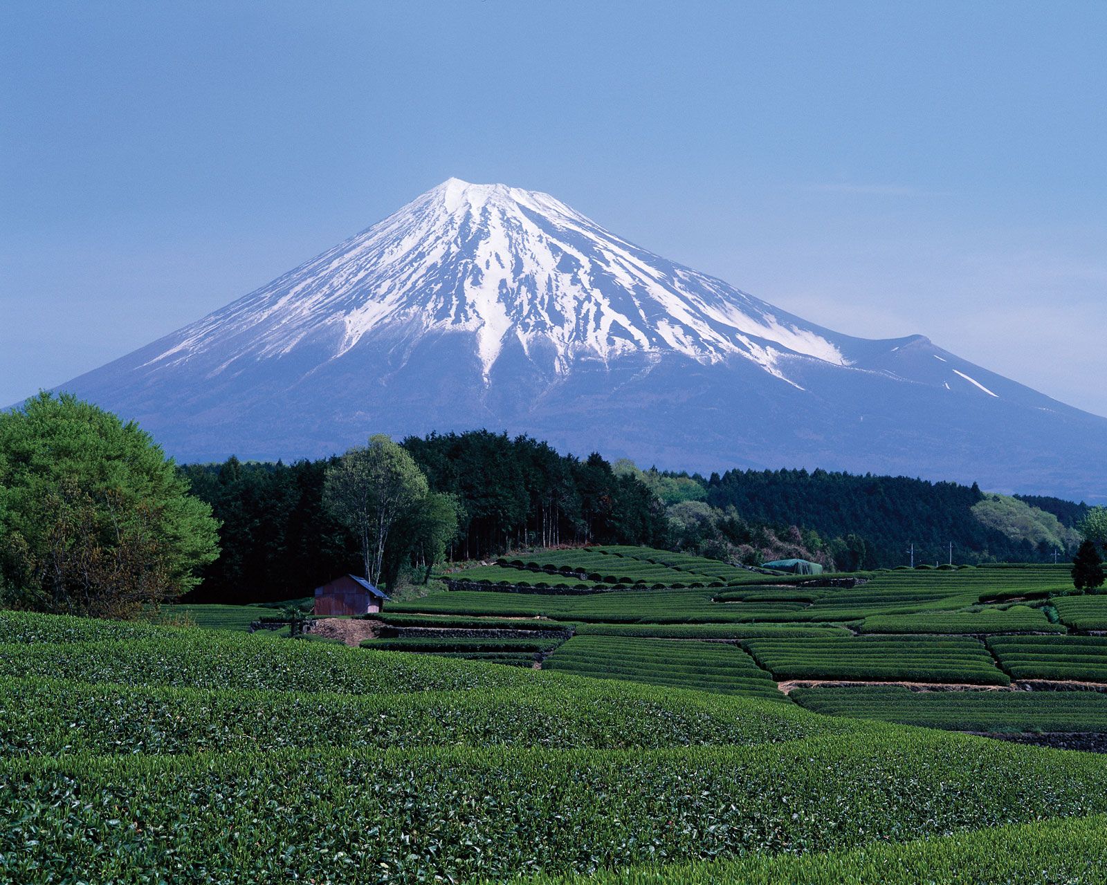 Detail Gambar Gunung Fuji Nomer 4