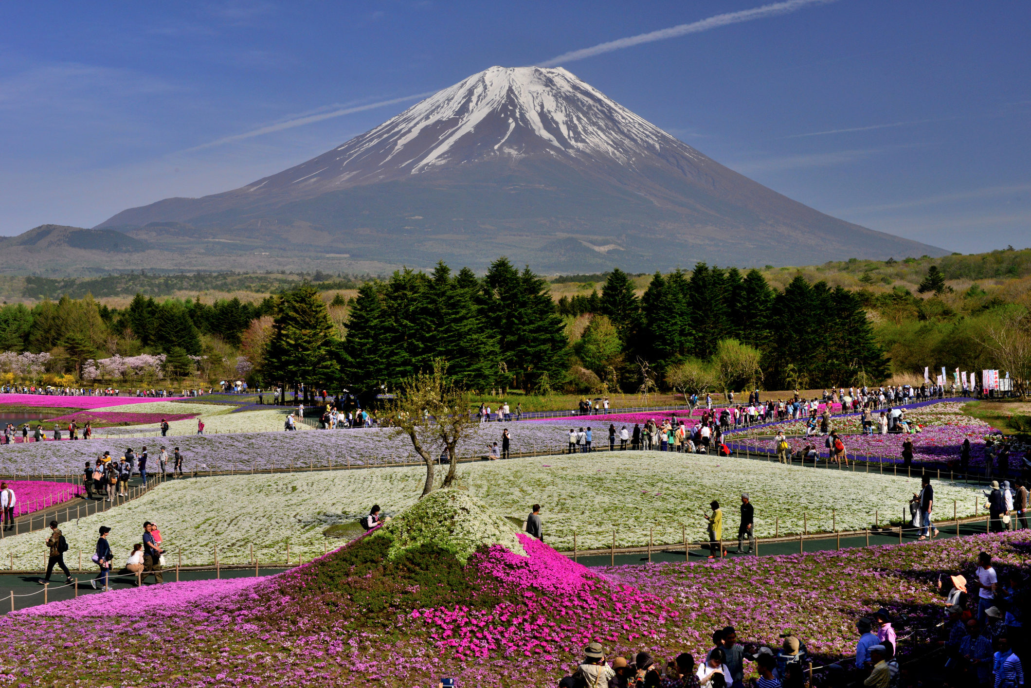 Detail Gambar Gunung Fuji Nomer 48