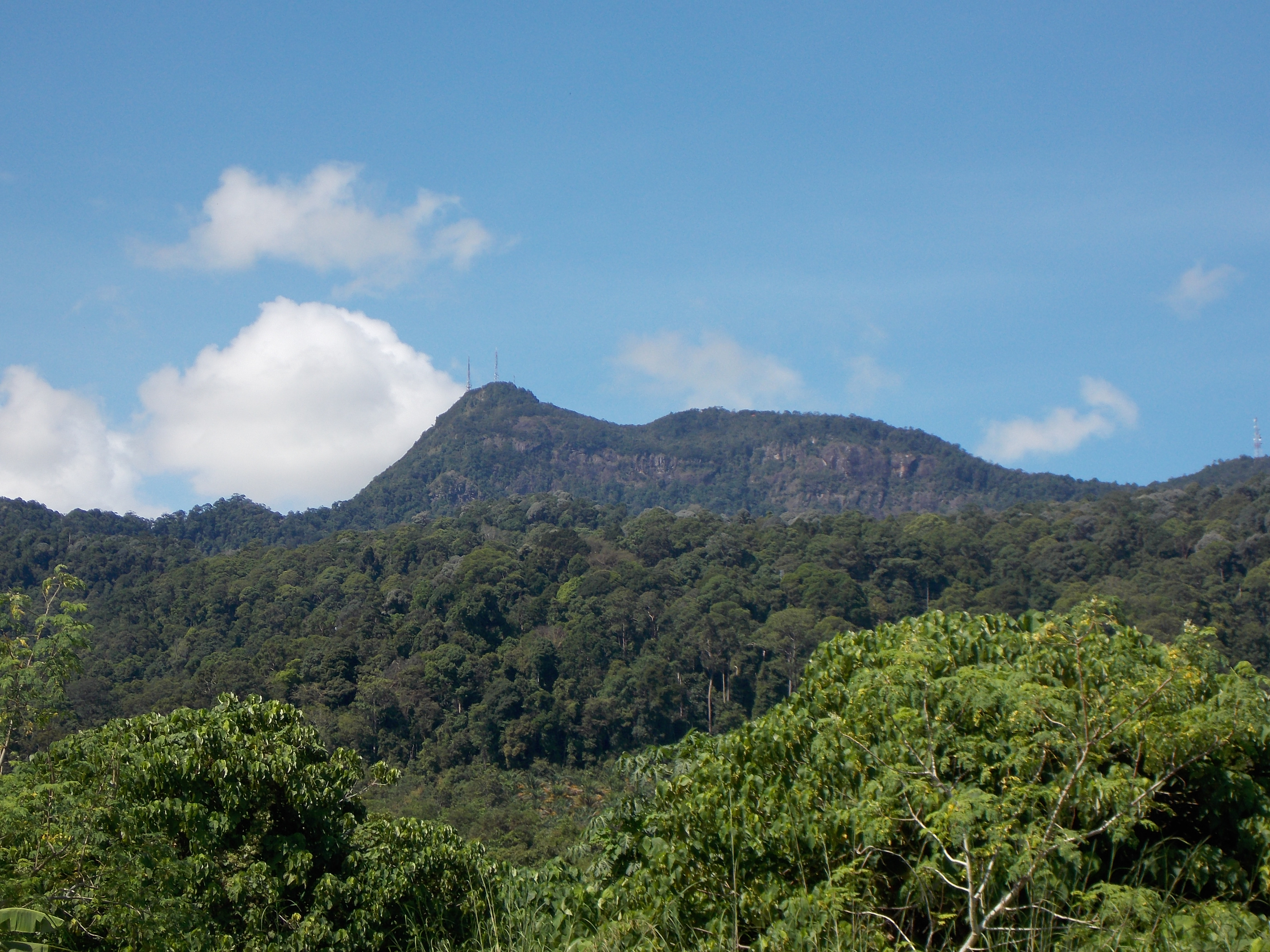 Detail Gambar Gunung Jerai Nomer 52