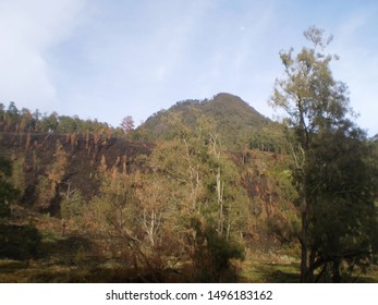 Detail Gambar Gunung Kembar Nomer 46