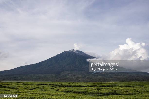 Detail Gambar Gunung Kerinci Nomer 21