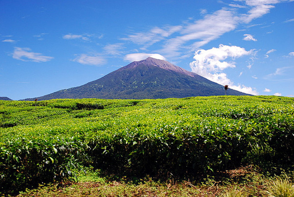 Detail Gambar Gunung Kerinci Nomer 5