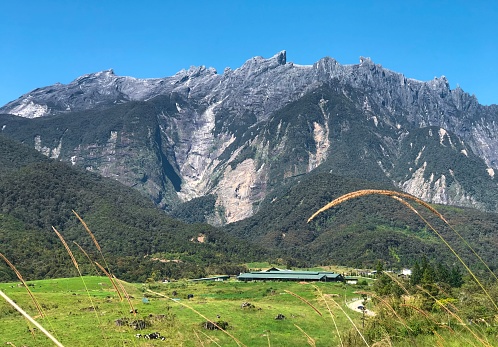 Detail Gambar Gunung Kinabalu Nomer 13