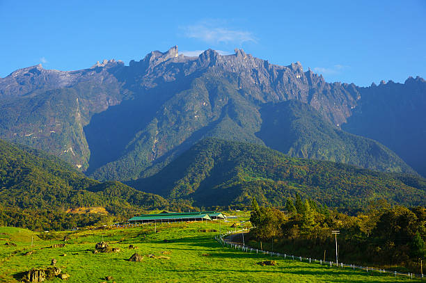 Detail Gambar Gunung Kinabalu Nomer 4