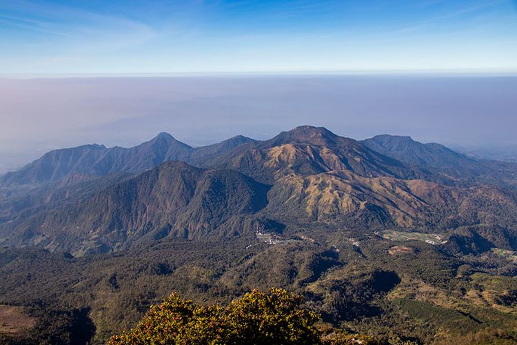 Detail Gambar Gunung Lawu Nomer 23