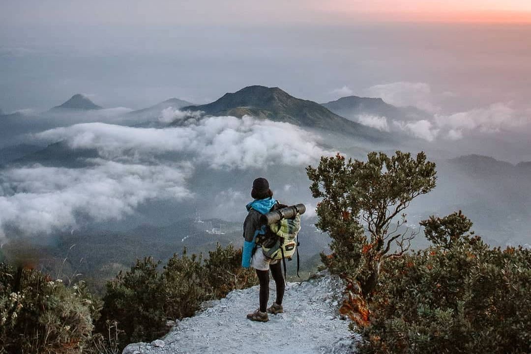 Detail Gambar Gunung Lawu Nomer 30