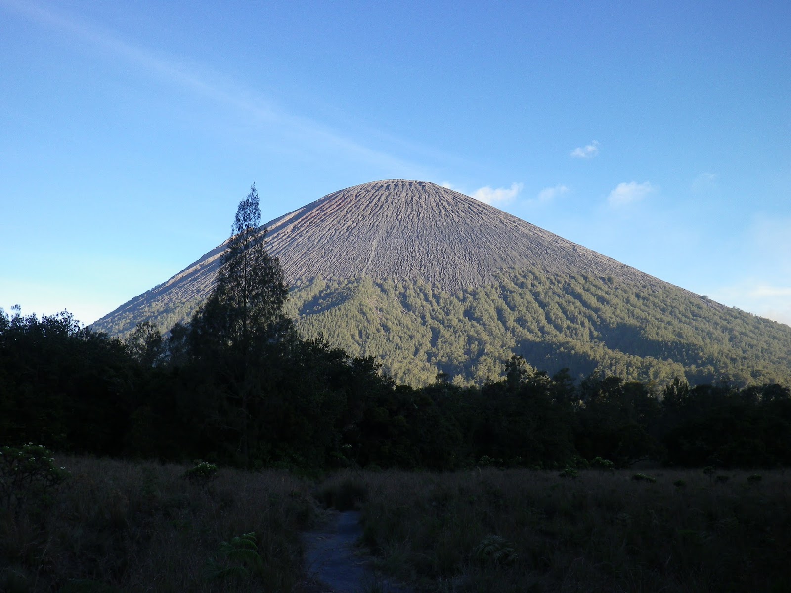 Detail Gambar Gunung Mahameru Nomer 47