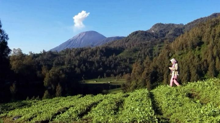 Detail Gambar Gunung Mahameru Nomer 55