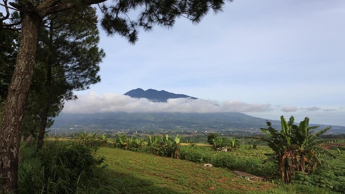 Detail Gambar Gunung Salak Nomer 16