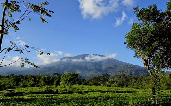 Detail Gambar Gunung Salak Nomer 32