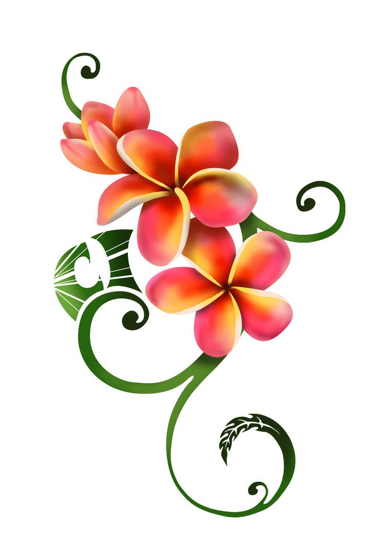 Detail Tattoo Motive Hawaii Blumen Nomer 7
