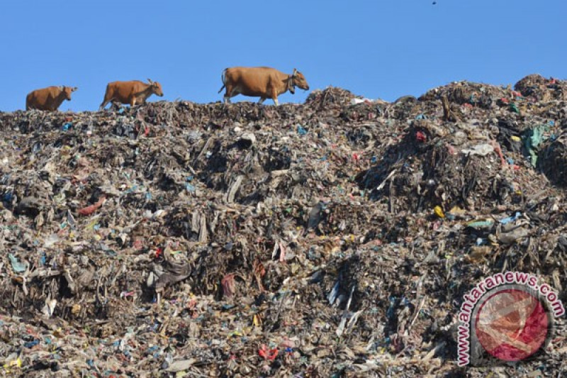 Detail Gambar Gunung Sampah Di Suwung Denpasar Bali Nomer 6