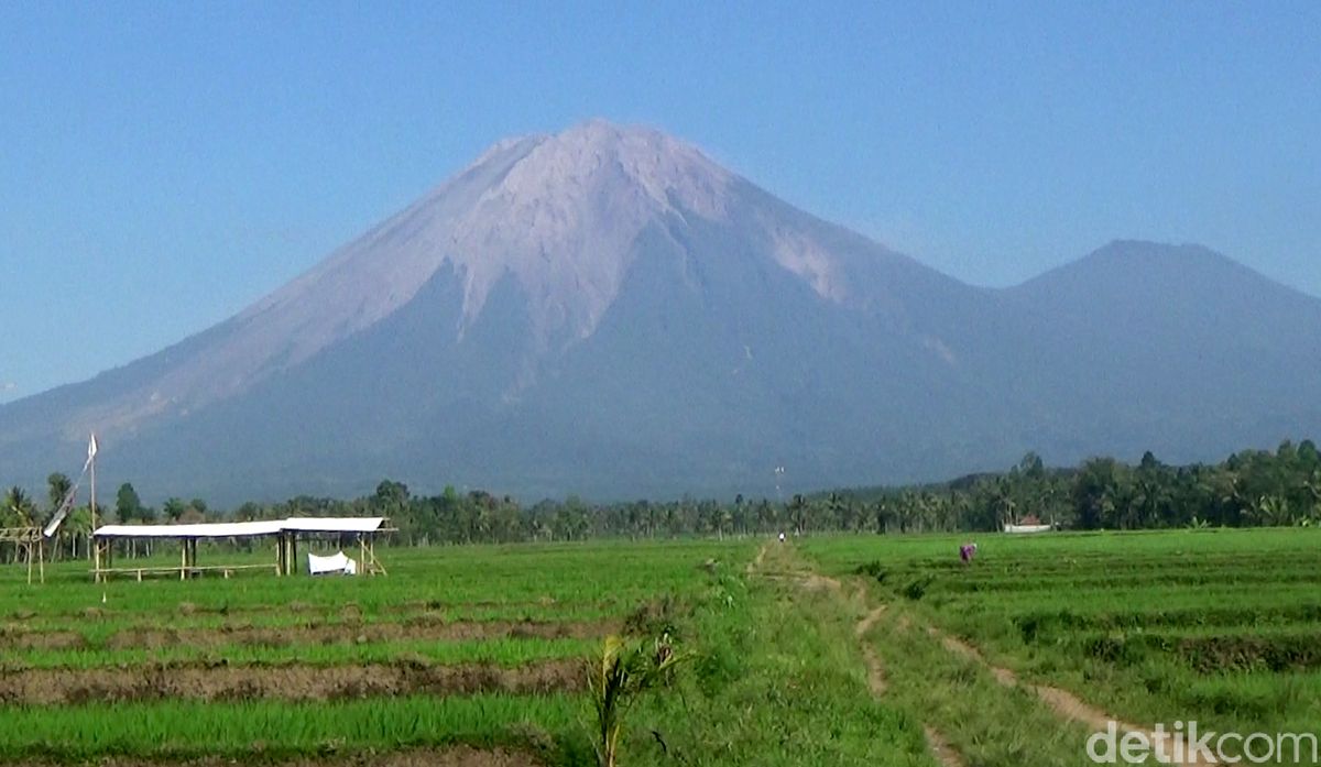 Detail Gambar Gunung Semeru Nomer 5