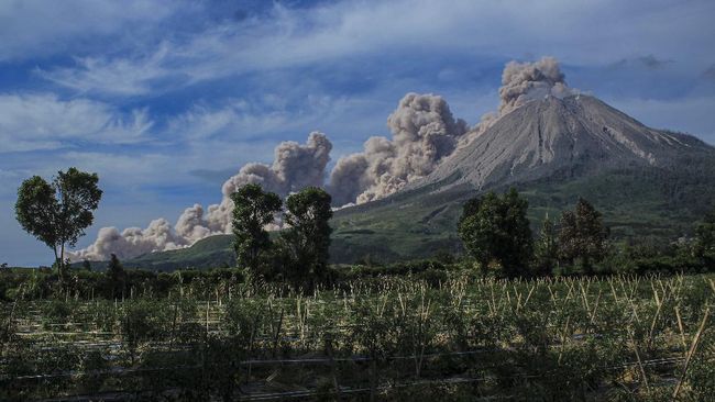 Detail Gambar Gunung Sinabung Nomer 11