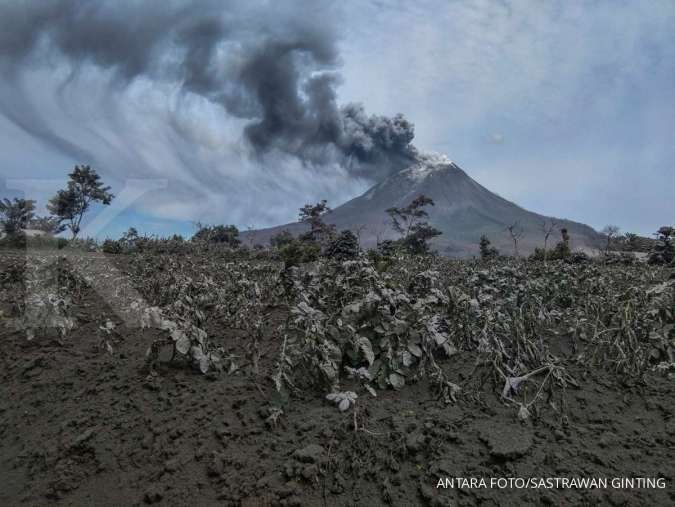 Detail Gambar Gunung Sinabung Nomer 32