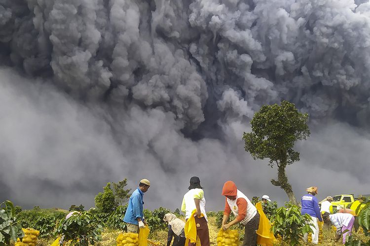 Detail Gambar Gunung Sinabung Erupsi Nomer 31