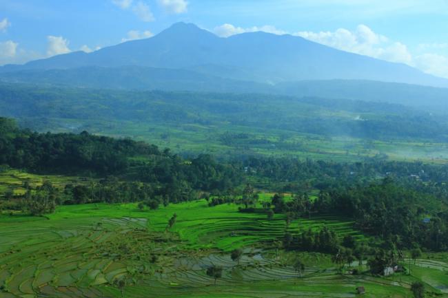 Detail Gambar Gunung Talang Nomer 28