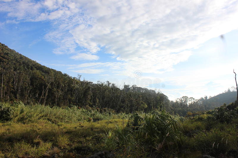 Detail Gambar Gunung Talang Nomer 53