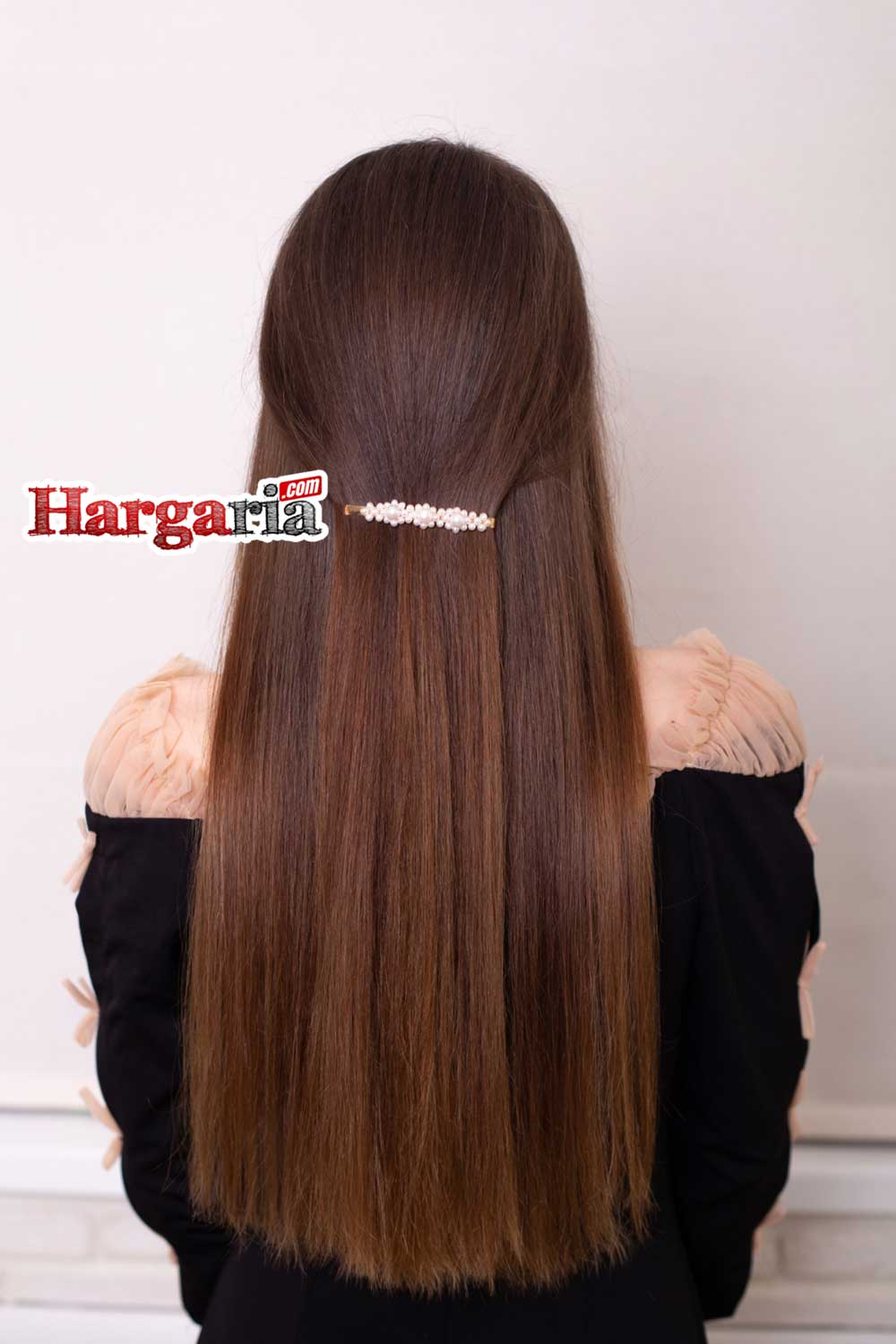 Detail Gambar Hailet Rambut Nomer 44