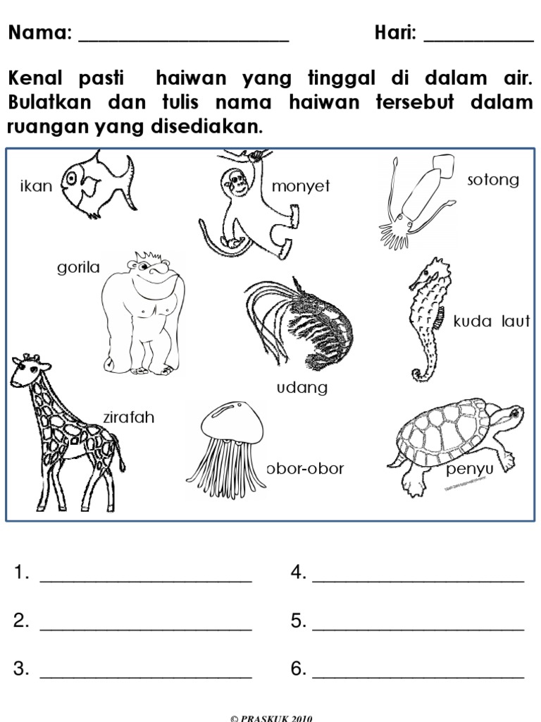 Detail Gambar Haiwan Di Air Nomer 15