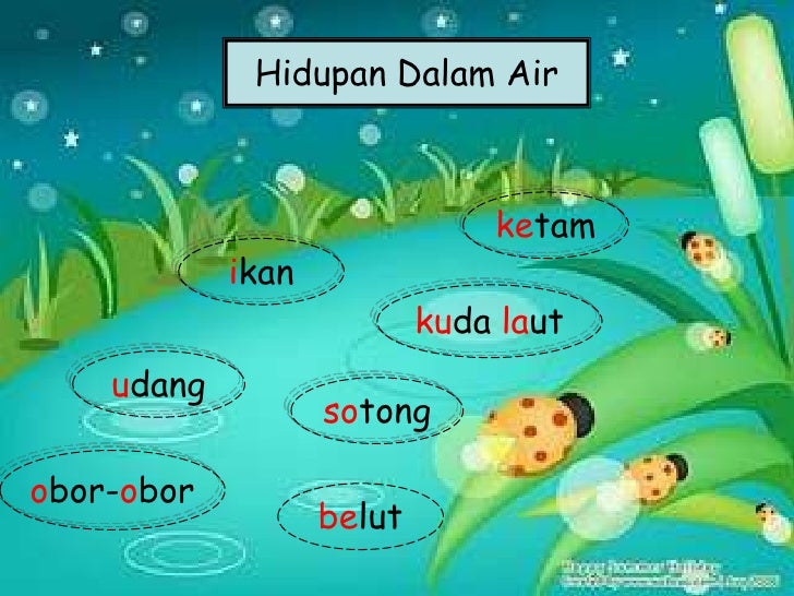 Detail Gambar Haiwan Di Air Nomer 7