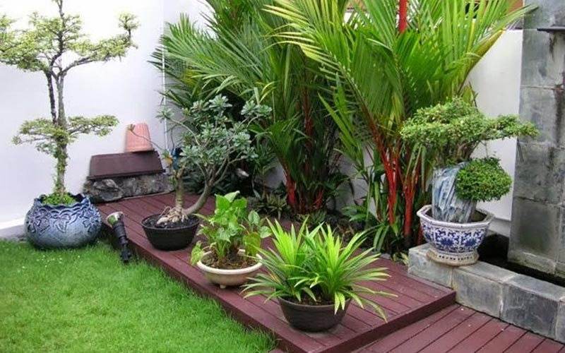 Detail Gambar Halaman Rumah Sederhana Nomer 36