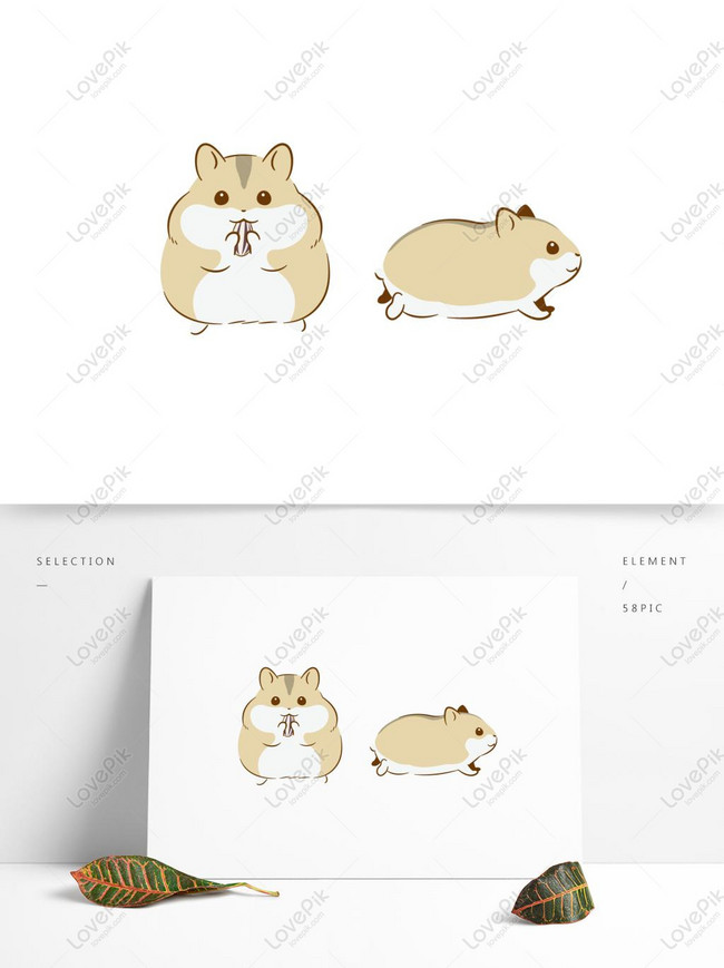 Detail Gambar Hamster Lucu Nomer 23