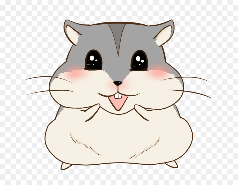 Detail Gambar Hamster Lucu Nomer 53