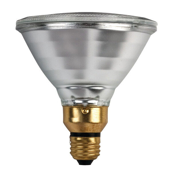 Detail Halogen Lamp Color Nomer 26