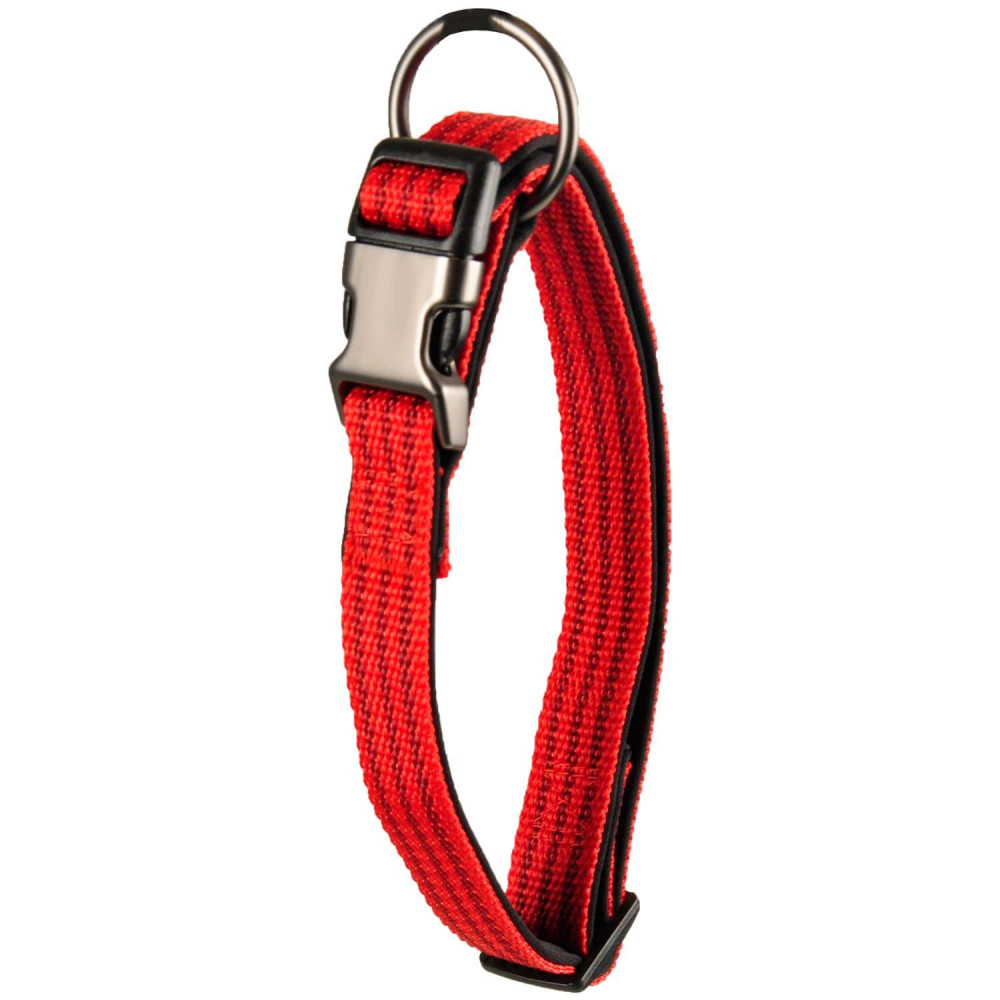 Detail Rotes Halsband Hund Nomer 22