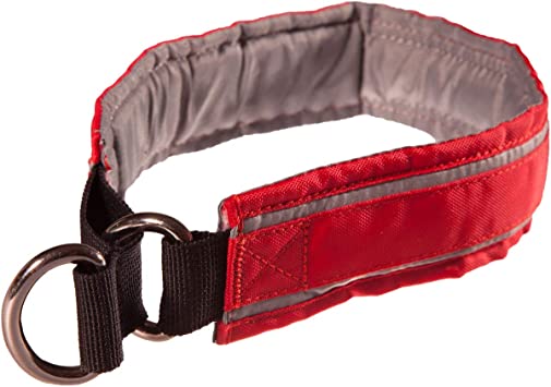 Detail Rotes Halsband Hund Nomer 3