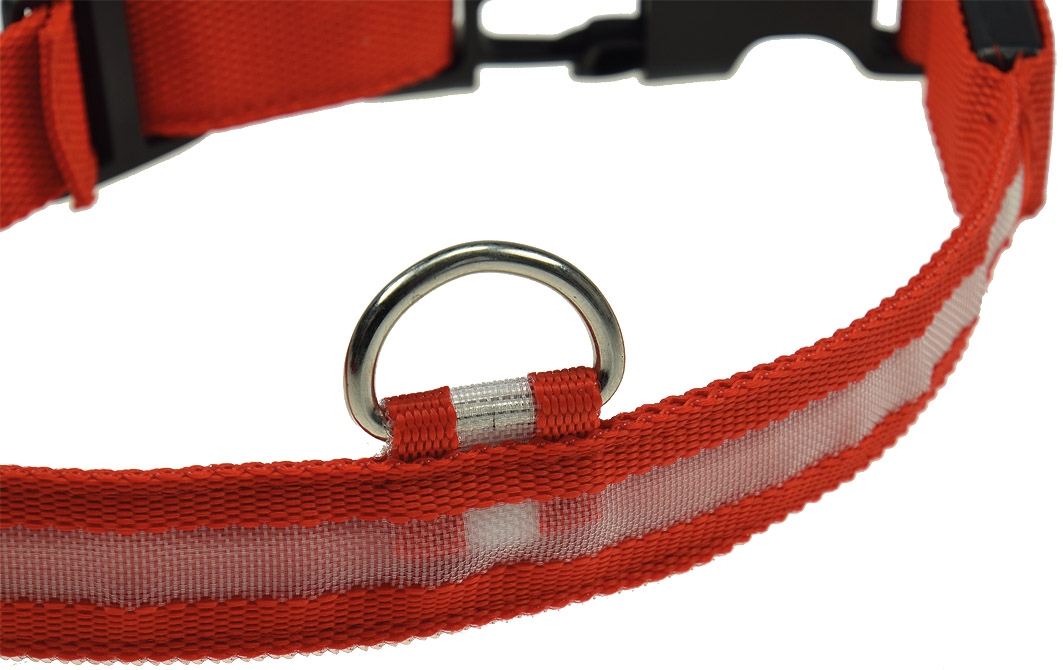 Detail Rotes Halsband Hund Nomer 28