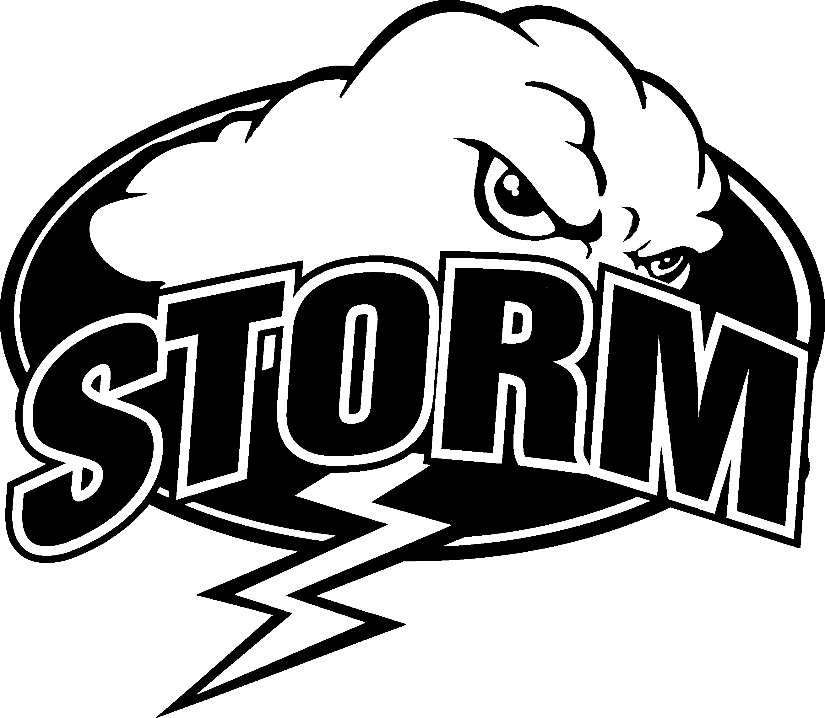 Detail Storm Fishing Logo Nomer 8