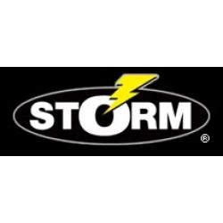 Detail Storm Fishing Logo Nomer 2