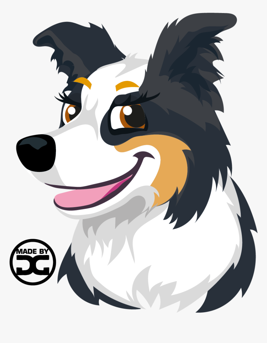 Detail Bilder Border Collie Nomer 12