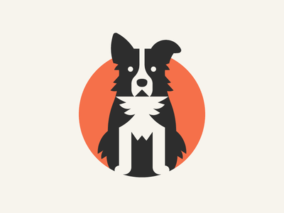 Detail Bilder Border Collie Nomer 16